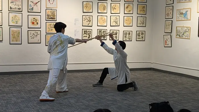 Paired sword forms