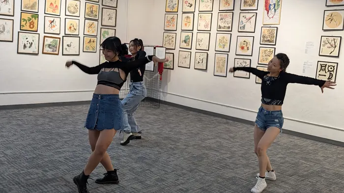 The K-pop performance closes the programme